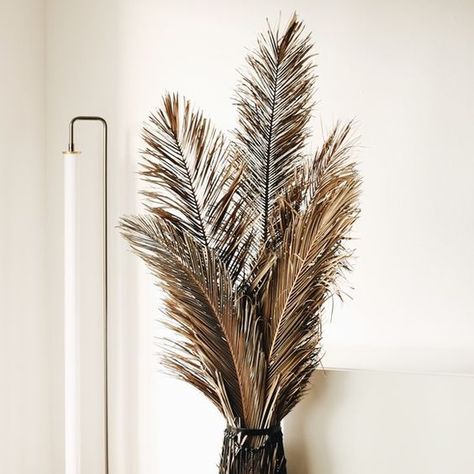 Beautiful Dried Sago Palm Leaves are a beautiful addition to any wedding or home! Dry Plants Decoration, Dried Palm Leaf Decor, Large Dried Palm Leaves, Dried Palm Leaves Decor, Branches Centerpiece, Cycas Palm, Plants For Decoration, Palm Leaf Decor, Leaves Texture