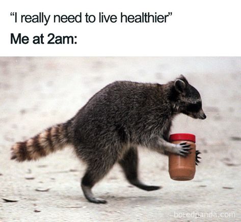 Funny Exercise, Midnight Cravings, Diet Meme, Diet Humor, Bodybuilding Diet, Food Memes, Fit Food, Workout Style, Trash Panda