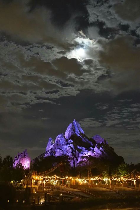 While I myself LOVE a great night picture of Cinderella's Casle, I couldn't help but see the beauty and awe of Expedition Everest in the full-moonlight. (Picture taken during the few days of the super moon phase.) I wanted to share with you guys who would also enjoy a little something different! Expedition Everest, Animal Kingdom Art, Matterhorn Disneyland Yeti, Expedition Everest Disney, Space Mountain Disney World, Disney’s Animal Kingdom, Night Pictures, Super Moon, Great Night