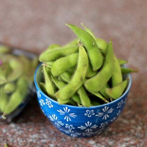 How To Cook Edamame, How To Make Beans, Bean Pods, Edamame Beans, Soy Beans, Pea Pods, Soy Milk, Edamame, Fermenting