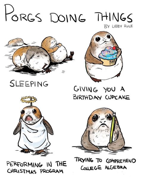 Star Wars is my shit, not to mention this cute animal they put in the most recent movie. #porg #porgstarwars #starwars #dailytasks #porgs #sleep #cupcake #christmasprogram #algebra Star Wars Meme, Star Wars Bb8, Star Wars Jokes, Recent Movies, Online Comics, Star Wars Film, Star Wars Fan Art, Star Wars Fandom, Star Wars Rebels