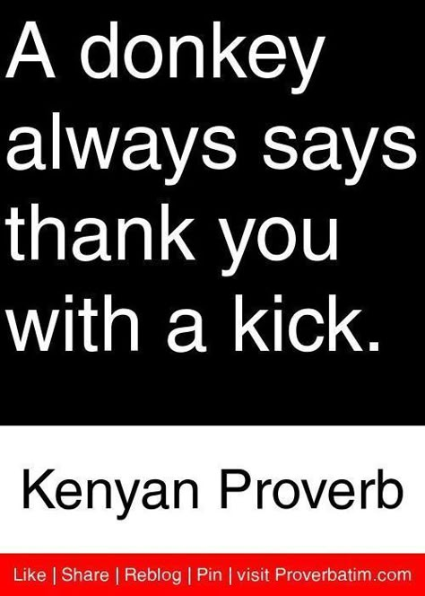 A donkey always says thank you with a kick . - Kenyan proverb #gratitude #kenyan #proverbs #ingratitude #african #saying Proverb Quotes, Wisdom Quotes Truths, African Quotes, Inspirational Words Of Wisdom, African Proverb, Inspirational Quotes About Success, Proverbs Quotes, This Is Your Life, A Donkey