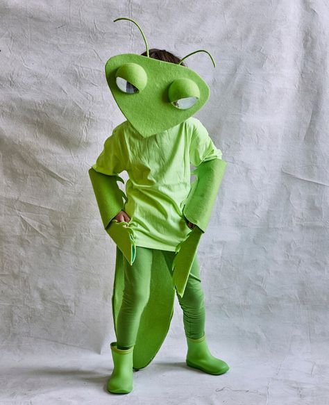 Praying Mantis Diy Costume, Mantis Costume, Bug Costume, Sibling Costume, Mom Costumes, Paper Bat, Twin Halloween, Chicken Costumes, Cardstock Crafts