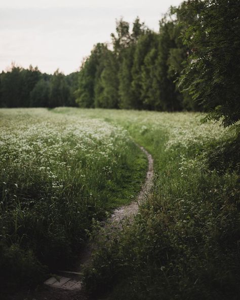 Scandinavian Home Design, Nordic Aesthetic, Nordic Lifestyle, My Scandinavian Home, Scandinavian Lifestyle, Nordic Countries, Countryside House, Summer Cottage, Long Road