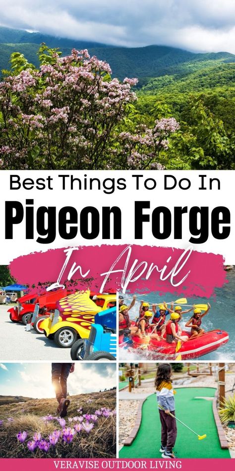 Visiting Pigeon Forge in April is perfect if your favorite thing to do involves outdoor adventures and food festivals. The post 10 Best Things To Do In Pigeon Forge In April appeared first on VeraVise Outdoor Living. Mountain Coaster, Pigeon Forge Vacation, Smoky Mountains Vacation, Pigeon Forge Tennessee, Mountain Destinations, Tennessee Travel, Spring Travel, Pigeon Forge Tn, Cheap Things To Do