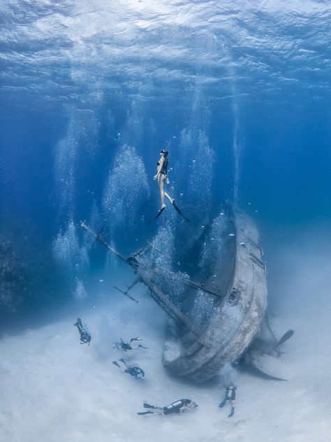 Free Diving Photography, Free Diving Aesthetic, Free Dive, Underwater Portrait, Underwater Pictures, Willemstad, Free Diving, Adventure Bucket List, Mermaid Life