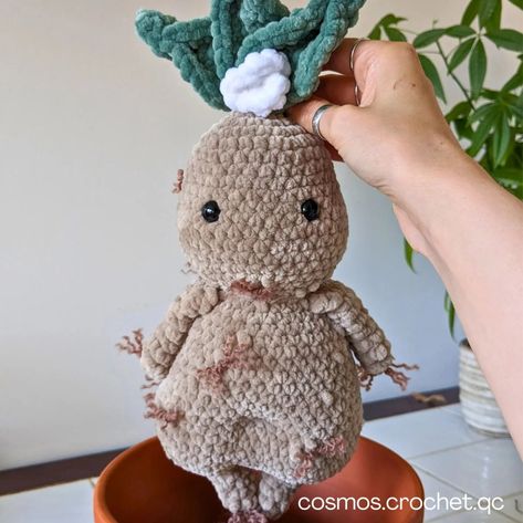 I’m so in love with mandrakes that I just keep designing new crochet patterns! 😅 Right now, I have five different designs, but who knows… maybe there’s room for one more! 🤣 Which mandrake is your favorite? 🌿 1 - Jake the Mandrake 2 - Blake and Drake the Mandrake 3 - Grumple the Mandrake 4 - Mega Jake the Mandrake 5 - Jumbo Jake the Mandrake Clearly, I need a new name if I add another Mandragore design! 😂 #crochetplant #harrypottercrochet #mandrake #harrypotterart #mandragora Crochet Mandrake, Market Crochet, New Crochet Patterns, Harry Potter Crochet, Crochet Plant, Harry Potter Art, So In Love, Pattern Free, Who Knows