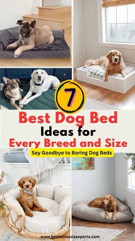 Best Dog Bed Ideas for Every Breed and Size 11 Extra Large Dog Bed, Paw Care, Pet Couches, Waterproof Dog Bed, Bored Dog, Washable Dog Bed, Dog Sofa Bed, Cool Dog Beds, Dog Sofa