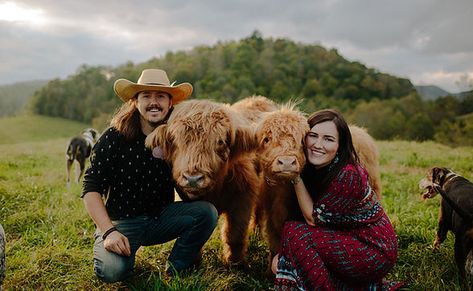 Highland Cow Photography, Mini Highland Cow, Highland Cow Pictures, Cow Photography, Highland Calf, Cow Photos, Mini Cows, Farm Photography, Cow Pictures