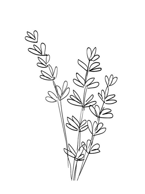 Lavender Drawing, Lavender Crafts, Line Art Flowers, Botanical Line Drawing, Flower Line Drawings, Easter Coloring Pages, Easter Colouring, Line Flower, Floral Drawing