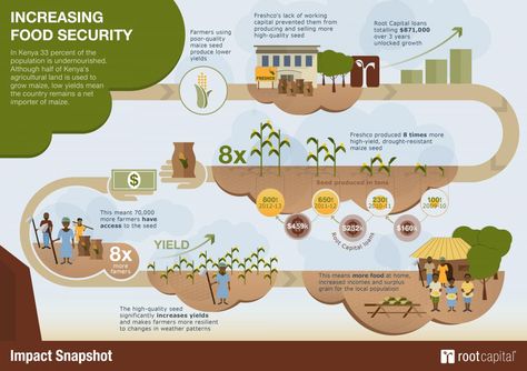 Food Cost, Graphic Arts Illustration, Isometric Design, Poster Design Inspiration, Food Security, Annual Report, Graphic Arts, United Nations, Data Visualization