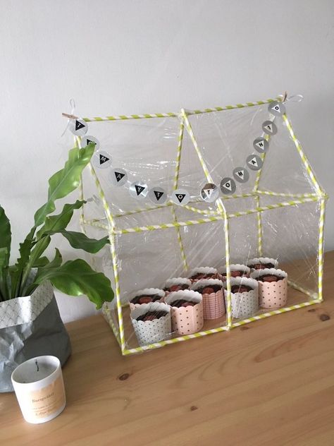 Mini Greenhouse Diy, Mini Green House, Diy Mini Greenhouse, Cold Frame Diy, Greenhouse Diy, Agriculture Projects, Mini Serre, Earth Month, Build A Greenhouse