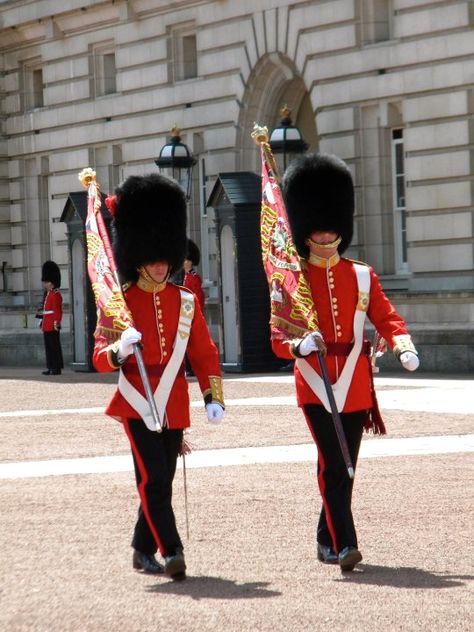 London Study Abroad, British Guard, Changing Of The Guard, Queens Guard, Palace London, Royal Guard, The Guard, London Tours, England And Scotland