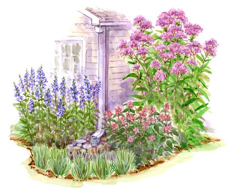 Dress Up the Area Around Your Downspout with This Simple Perennial Garden Plan Corner Cottage Garden, Front Yard Rain Garden, Downspout Garden Ideas, Home Garden Inspiration, Corner Garden Front Yard, Mailbox Garden Plan, Better Homes And Gardens Landscape Plans, Front Yard Landscape Plan, Downspout Rain Garden