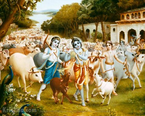 Krishna and Balarama, cows and cowherd boyfriends, Goloka Vrndavana Srimad Bhagavatam, Shri Hari, Krishna Avatar, Krishna Hindu, Sweet Lord, Lord Krishna Hd Wallpaper, Jai Shree Krishna, Lord Krishna Wallpapers, Krishna Radha Painting