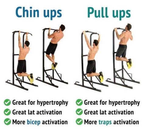 Exercise Chest, Pull Up Workout, Gym Tips, Calisthenics Workout, Biceps Workout, Back And Biceps, Chin Up, Back Muscles, Gym Workout Tips