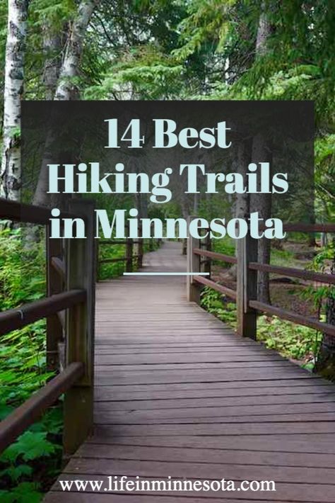 Minnesota Hiking Trails, Minnesota Adventures, Minnesota Hiking, Grand Marais Minnesota, Minnesota Camping, Minnesota Life, Hiking Places, Minnesota Travel, Midwest Travel