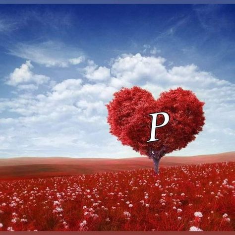 The Letter P, Stylish Alphabets, Alphabet Images, Alphabet Blocks, Fish Wallpaper, Floral Wallpaper Phone, Cute Couple Drawings, Doodle On Photo, Letter P