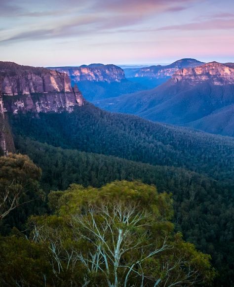 Govetts Leap Lookout, Blue Mountains - The breathtaking view from Govetts Leap lookout in the Blue Mountains, Australia. #BlueMountains #GovettsLeap Blue Mountains Australia, The Blue Mountains, Blue Mountains, Blue Mountain, Breathtaking Views, Drive, Australia, On Instagram, Blue