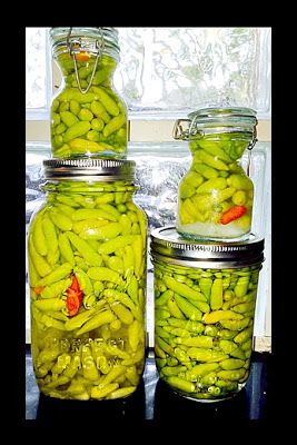 Pickling Hot Peppers Recipe, Tabasco Sauce Recipe, Tabasco Peppers, Canning Hot Peppers, Hot Dog Sauce Recipe, Pickled Hot Peppers, Hot Pepper Recipes, Hot Dog Sauce, Pepper Sauce Recipe