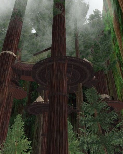 The Forest Moon of Endor | SWRPEDIA - Second Life Star Wars Roleplay Wiki | Fandom Endor Star Wars, Forest Moon Of Endor, Forest Room, Star Wars Planets, Binary Star, Forest Moon, Bunk Rooms, Forest Canopy, Star Wars 1977