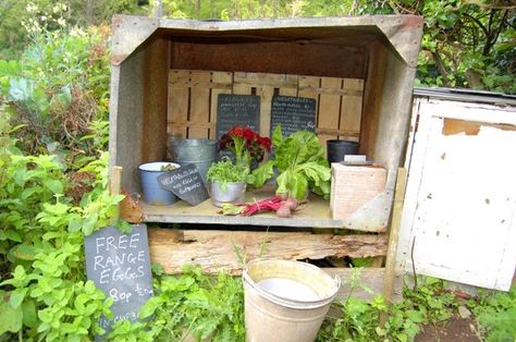 Country Walks, Flower Containers, Country Walk, Chicken Runs, Farm Shop, Farm Stand, Fresh Fruits, Container Flowers, Garden Stuff