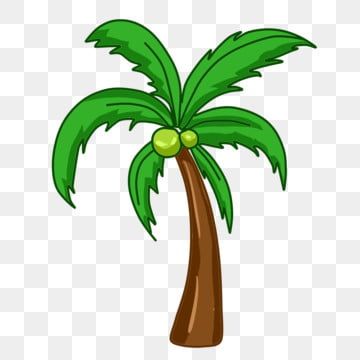 pohon kelapa,pohon besar,menanam,clipart pohon,clipart kartun,tanam clipart,clipart kelapa,clipart pohon kelapa,daun kelapa Coconut Tree Clipart, Coconut Clipart, Tree Clipart Png, Papan Tulis Kapur, Tree Psd, Plants Painting, Palm Tree Png, Plant Clipart, Trees Clipart