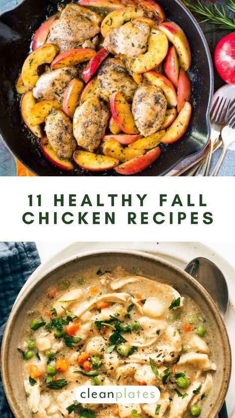 11 Fall Chicken Recipes That Are Healthy & Delicious Fall Home Cooked Meals, Quick Healthy Fall Dinner Recipes, Fall Meals Chicken, Chicken Recipes Easy On Stomach, Chicken Breast Fall Recipes, Gut Healthy Chicken Recipes, Healthy Fall Chicken Recipes, Chicken Fall Dinners, Autumn Chicken Recipes