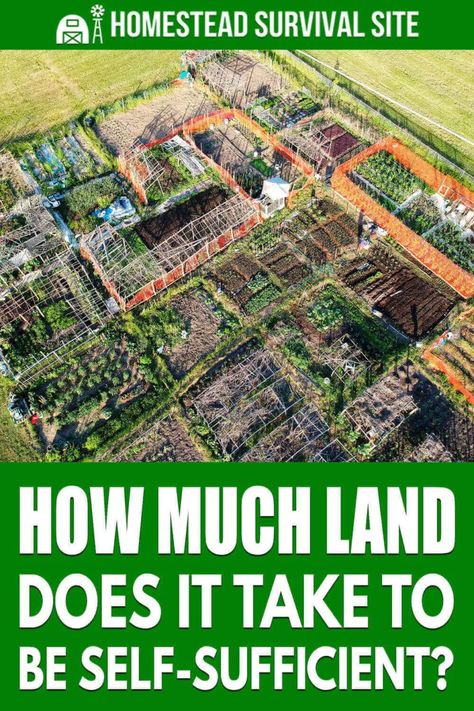 Self Sufficient Home, Self Sufficient Living, Homestead Lifestyle, Homestead Layout, Self Sufficient Homestead, Marvel Room, Self Sustaining, Going Off The Grid, Homesteading Diy