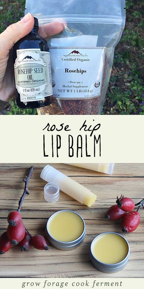 Learn how to make your own homemade and all natural rose hip lip balm. This easy home remedy recipe uses organic dried rose hips, rose hip seed oil, shea butter, and beeswax for a nourishing, soothing, and moisturizing herbal lip balm for dry lips. Whether you're a beginner herbalist, or just interested in learning how to make your own beauty products, you'll love this DIY lip balm remedy! #homeremedy #homeremedies #allnatural #diy #lipbalm #rosehips #herbalism Rosehip Lip Balm, Natural Lip Moisturizer, Beginner Herbalist, Herb Crafts, Diy Lipbalm, Fall Foraging, Rosehip Recipes, Herbal Gifts, Herbal Lip Balm