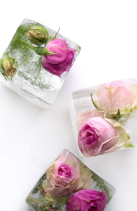 Bridal Shower On A Budget: DIY - Bridal Shower - Theholidazecraze.com Fancy Ice Cubes, Floral Ice Cubes, Flower Ice Cubes, Flavored Ice Cubes, Fancy Ice, Frozen Rose, Floral Ice, Ice Bowl, Flower Ice