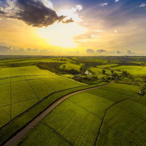 Tea farms in Kericho Kenya [1080x1080] Tea Farm, Unbelievable Nature, Solar Panels Roof, Agricultural Land, Nairobi Kenya, Destinations Travel, Hidden Beauty, Indian Ocean, Landscape Photographers