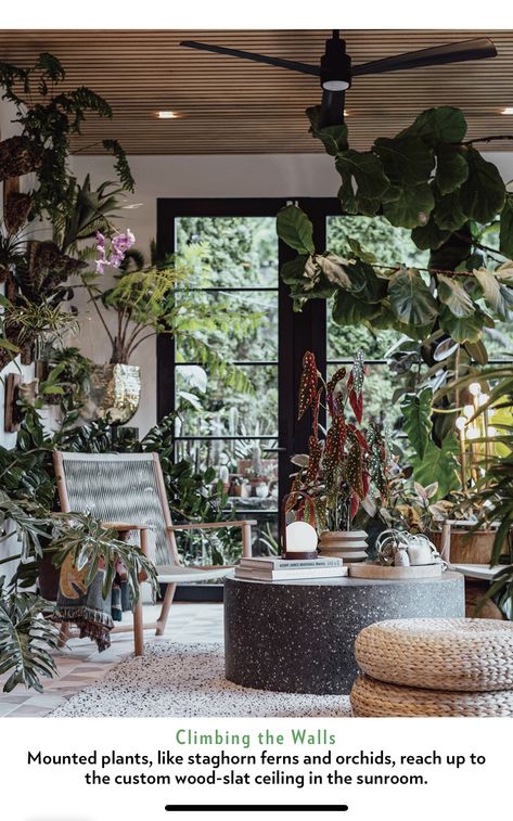 Hilton Carter Plants, Hilton Carter, Indoor Climbing Plants, Garden Design Pictures, Plantas Interior, Houseplants Decor, Marble Queen Pothos, Jungle Decor, Stunning Hotels