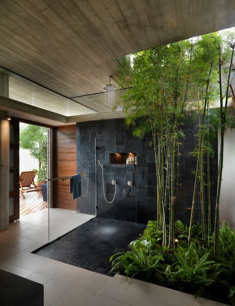 Shot of contemporary bathroom with ... - Gallery - 2 | Trends Jungle Bathroom, Shower Makeover, Slate Shower, Big Bamboo, Tropical Bathroom, Waterfall Shower, Bathroom Plants, Best Bath, Budget Bathroom