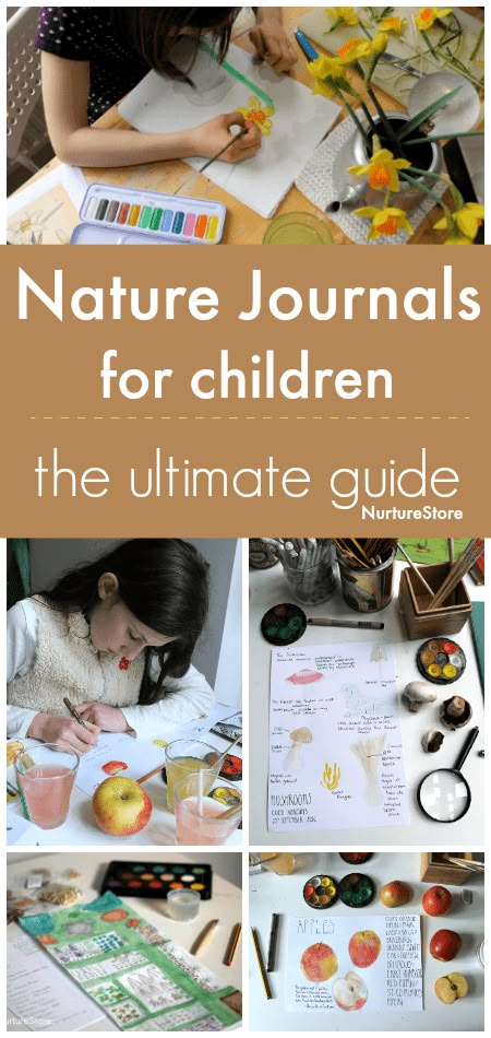 the ultimate guide to nature journals for children :: children's nature study guide Nature Based Learning, Nature Journals, Homeschool Nature Study, Diy Nature, Nature Education, Nature School, Forest School, Outdoor Learning, Homeschool Science