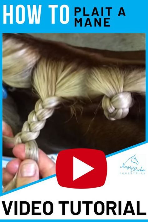 Horse Braids Tutorial, Equestrian Hacks, Mane Braids, How To Bun, Equestrian Tips, Horse Braids, Horse Mane Braids, Horse Hacks, Horse Grooming Kit