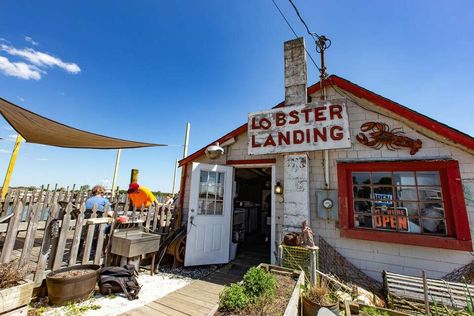 Coastal Connecticut, Seafood Shack, Giant Lobster, Seafood Sandwiches, Malibu Rising, Fried Clams, Lobster Shack, England Aesthetic, Fresh Lobster