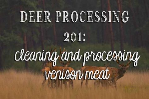 Deer Butchering, Venison Steaks, Deer Processing, Venison Meat, Bow Fishing, Meat Butcher, Deer Recipes, Venison Steak, Deer Meat Recipes