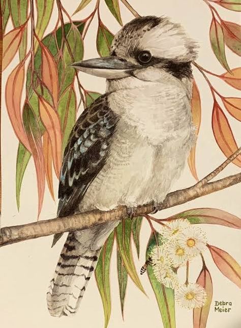 Australian Fauna, Australian Painting, Gum Tree, Bird Watercolor Paintings, Australian Native Flowers, Watercolor Projects, Australian Birds, Bird Artwork, Bird Art Print