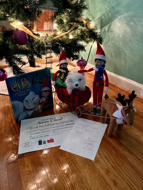 Elf Returns With Another Elf, Elf Fox Ideas, Elf On The Shelf Ideas With Pet Dog, Elf And Pets Ideas, How To Introduce Elf Pet, Elf On The Shelf And Artic Fox Ideas, Elf On The Shelf Pets Reindeer Arrival, How To Introduce Elf On The Shelf Pet, Elf On The Shelf Pet Arrival Ideas