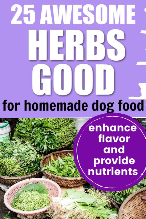 Nutritional Dog Food Recipes, Herbs Good For Dogs, Pet Diys, Vegan Dog Food, Make Dog Food, Dog Breeding, Animal Food, Healthy Herbs, Food Dog