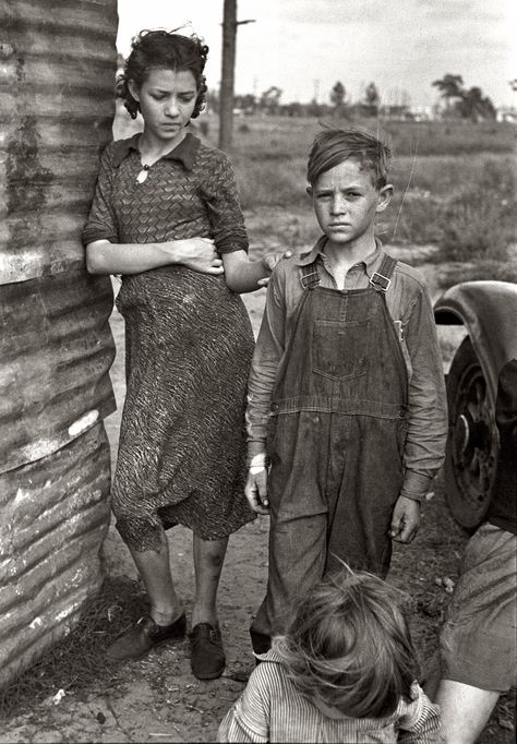 Twelve year old son of a cotton sharecropper near Cleveland, Mississippi. 1937 June. photographer: Dorothea Lange Winter Haven Florida, Susan Sontag, Wilde Westen, Dust Bowl, The Great, Photo Vintage, Interesting History, Jolie Photo, Photo Images