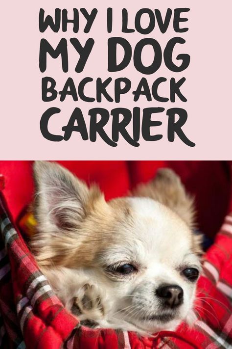 Dog backpack carrier is a type of rag suck that you sit your pet in and carry her in, whether at the front or at the back. Here's what I love about it. Cute Dog Carrier, Diy Dog Carrier, Pet Carrier Diy, Diy Dog Backpack, Dog Carrier Pattern, Dog Carrying Bag, Dog Backpack Carrier, Dog Travel Accessories, Small Dog Carrier