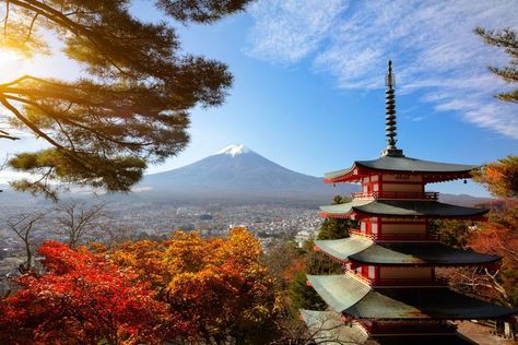 Chureito Pagoda, Japan Autumn, Mount Royal, Yamanashi, Mt Fuji, Beautiful Images Nature, Mount Fuji, City Travel, Fall Foliage