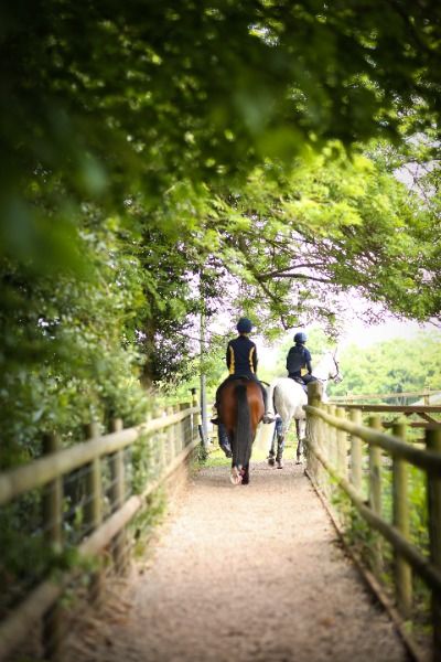 Sidcot Equestrian Centre offers a rare combination – a school livery yard, in the heart of a thriving co-ed day and boarding school, highly commended by BHS. For students who already ride, or who want to learn, Sidcot is a popular choice, as we pride ourselves on our friendly atmosphere for both beginners and experienced riders alike. Find out more about our equestrian offer here 👉 www.sidcot.org.uk/equestrian #horseriding #equestrian #riding #horserider #equestrianlife #equestrianaesthetic Livery Yard, Equestrian Aesthetic, Equestrian Center, Equestrian Riding, My Motivation, Equestrian Life, Boarding School, My Vision Board, Horse Rider