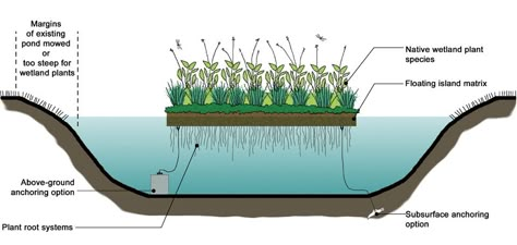 FloatIsland_section Floating Wetland, Wetland Plants, Island Deck, Floating Architecture, Floating Islands, Goldfish Pond, Stormwater Management, Floating Garden, Floating Island