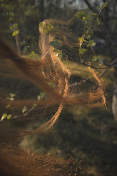 Instagram: @/ Nattesjel The Nature Of Witches Book, Faun Aesthetic, Aesthetic Long Hair, Wilderness Photography, Nature Witch, Earth's Core, Fairycore Fairy, Wood Elf, Fairy Aesthetic