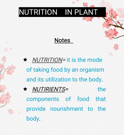 Ismita nautiyal : science class 7 chapter 1 NUTRITION IN PLANTS (notes) Plant Nutrition Biology Notes, Botany Notes Class 11, Nutrition In Plants Class 7 Notes, Nutrition In Plants Class 7, Reproduction In Plants Notes, Nutrition In Plants, Plant Notes, Android Codes, Nutrition Classes