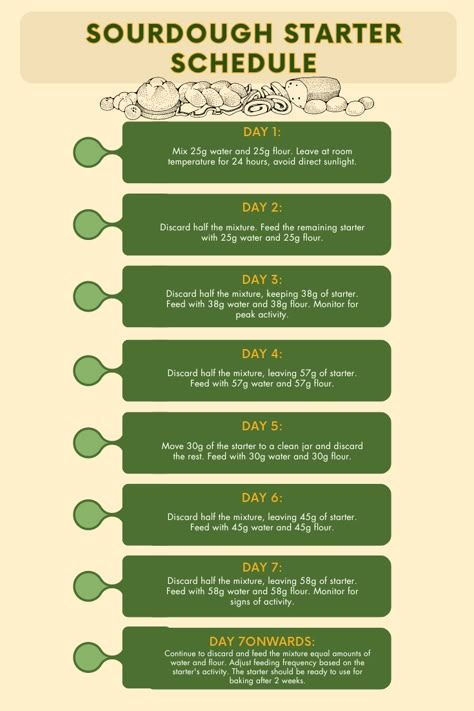 Kickstart your sourdough journey with my sourdough starter schedule! Designed for beginners, this guide lays out a simple sourdough starter timeline, perfect for first-time sourdough bakers. Each day's instructions are clear and straightforward, making it easy to follow along from scratch. This sourdough starter for beginners will take you step-by-step through the process, ensuring success in creating your very own sourdough starter. Click for the schedule and start your sourdough adventure today! Creating Sourdough Starter, Starting Sourdough From Scratch, Sunday Sourdough Schedule, How To Do Sourdough Starter, How To Start Your Own Sourdough Starter, Sourdough Starter Basics, How To Make Sourdough Starter Step By Step, Starting A Sourdough Starter, Sourdough Guide For Beginners