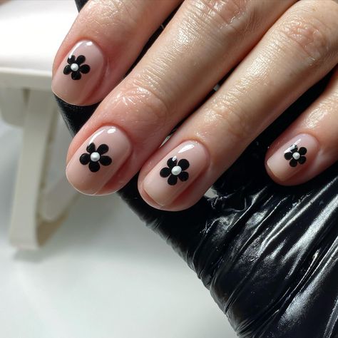 Some flower power for your Saturday 🤍 @the_gelbottle_inc daisy and jet black gel pots to get that pigment in one coat ! @opi @opi_professionals for my base colour “put it in neutral” @officialnavyprofessional for my tool prep #flowernails #nails #nailsnailsnails #nailart #flowers #nailsofinstagram #biab #biabnails #naildesign #nailideas #nailinspiration #naildesign #blacknails #whitenails #shortnails Black And White Flower Nail Designs, Black Daisy Nails, Black And White Flower Nails, Black Flower Nails, Nailart Black, Short Natural Nails, Girly Acrylic, Daisy Nails, Simple Gel Nails